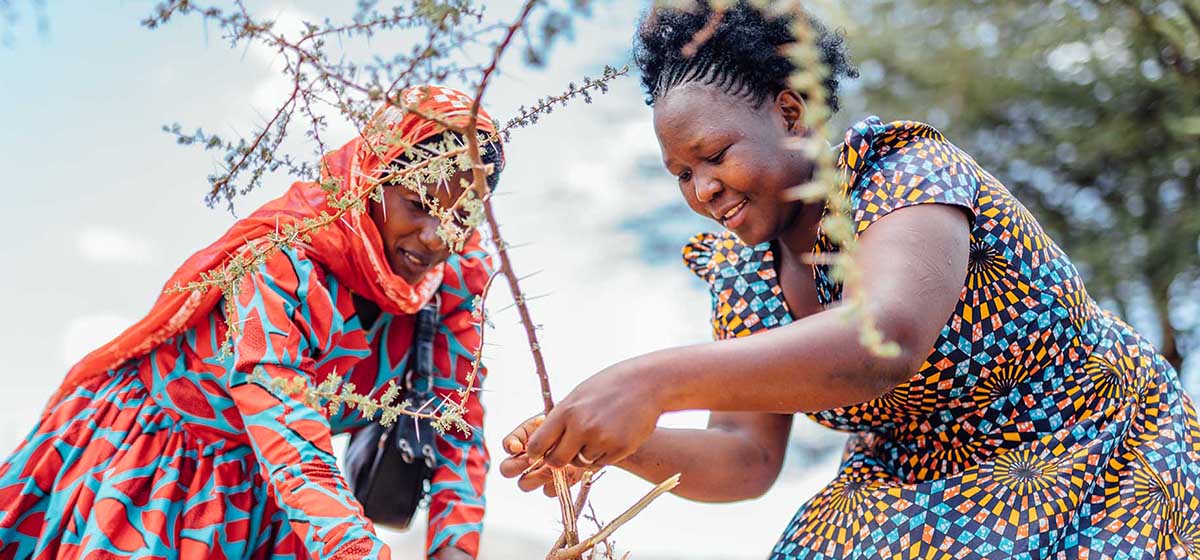 Women in Tanzania regreening the earth