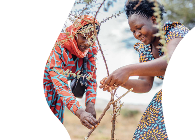 Two women in Africa plant trees to regreen Tanzania with the Justdiggit project