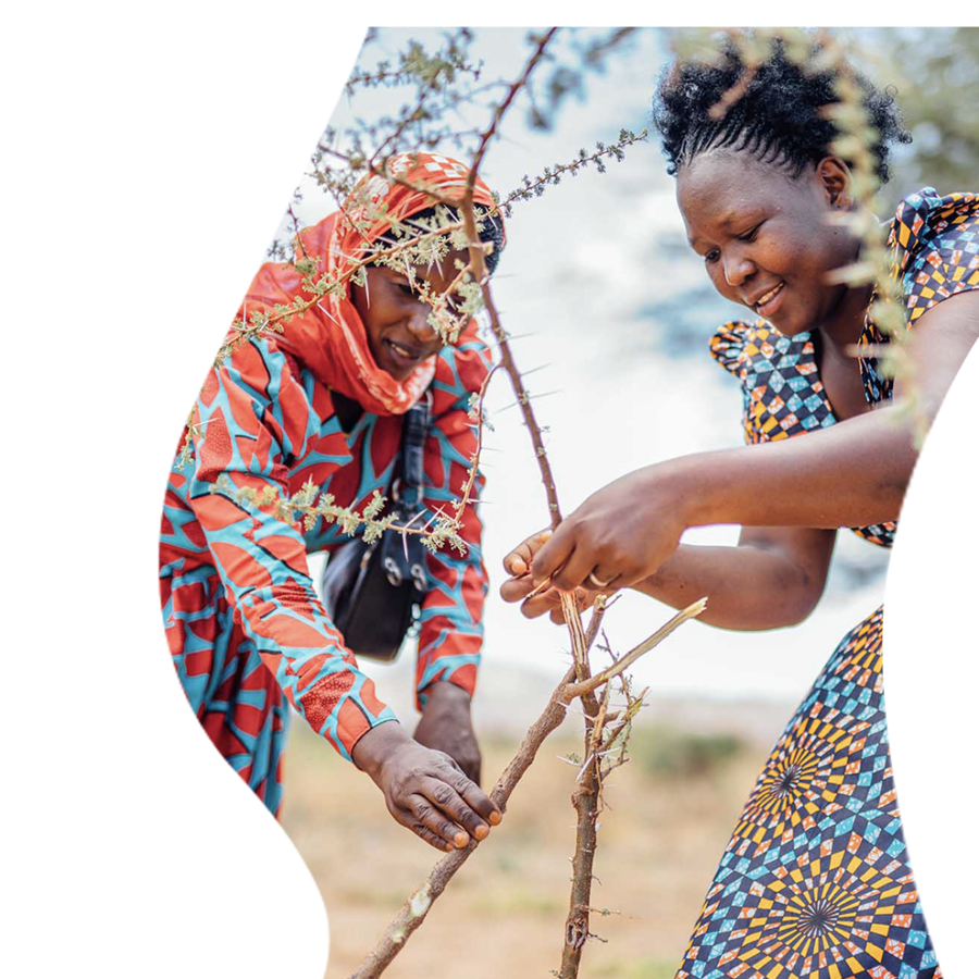 Two women in Africa plant trees to regreen Tanzania with the Justdiggit project