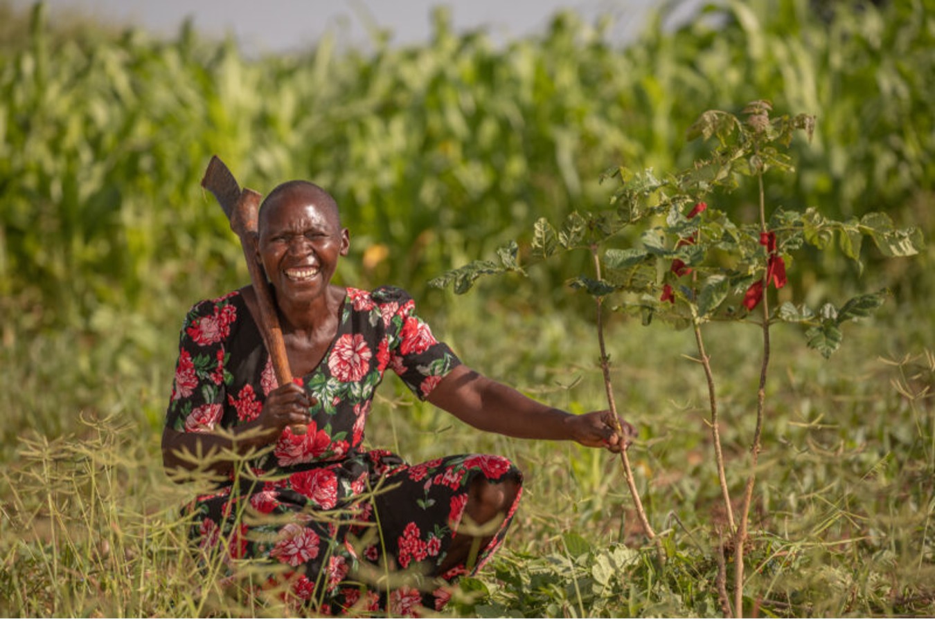 African woman smiling and showing a newly planted tree